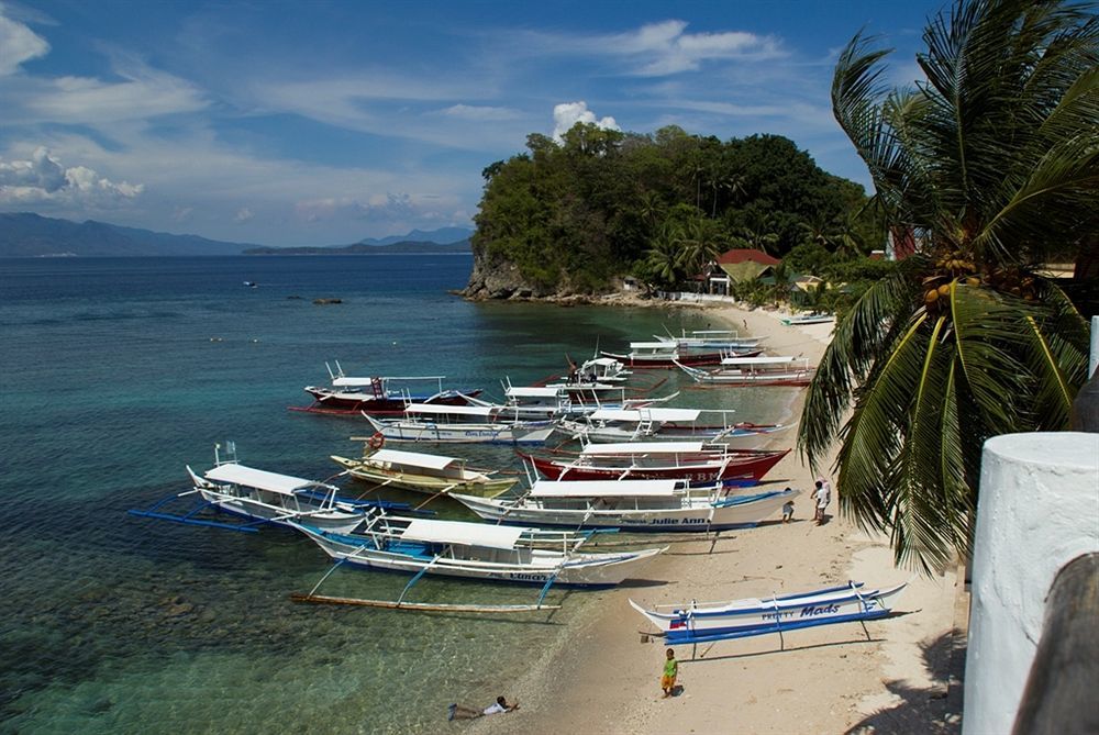 Scandi Divers Puerto Galera Exteriér fotografie